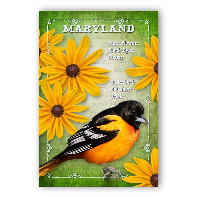 Postcard Fair MARYLAND BIRD AND FLOWER postcard set of 20 identical postcards. MD state symbols post cards. Made in USA. - Image 1